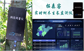 實時樹木生長監測儀