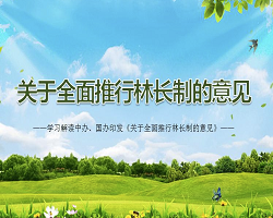 一圖讀懂中央《關(guān)于全面推行林長制的意見》